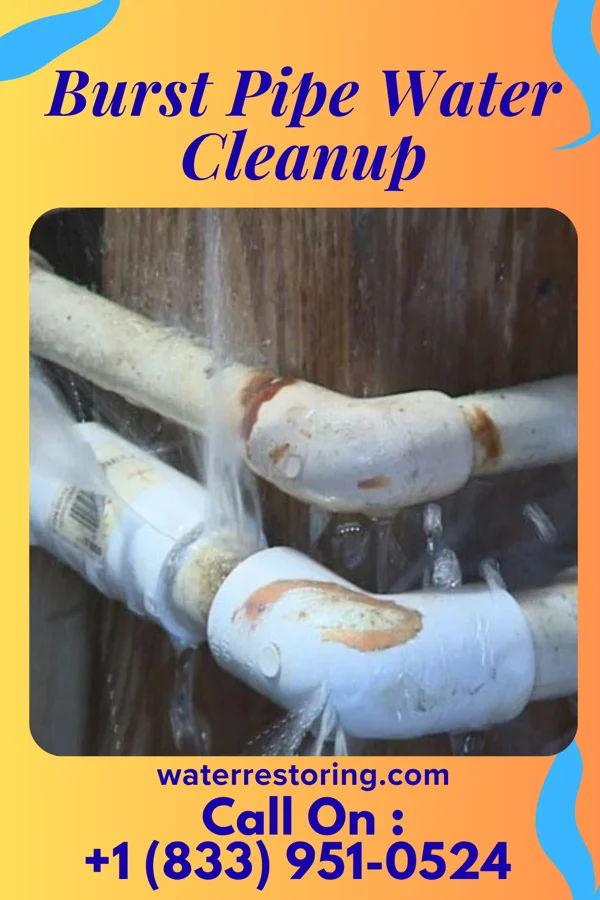 Burst Pipe Water Cleanup in Delavan Lake, WI
