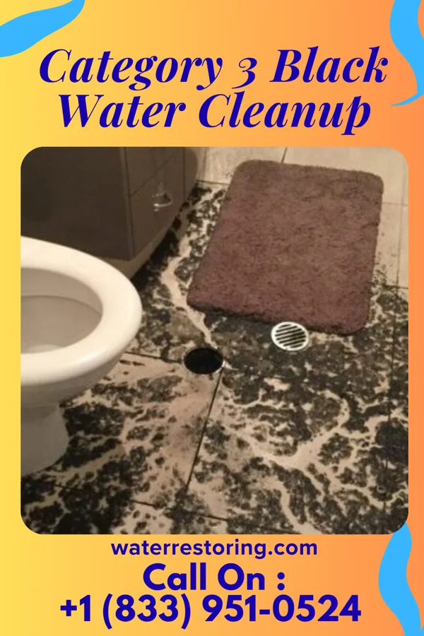 Category 3 Black Water Cleanup in Delavan Lake, WI