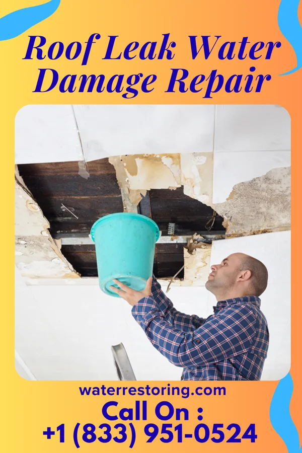 Roof Leak Water Damage Repair in Delavan Lake, WI