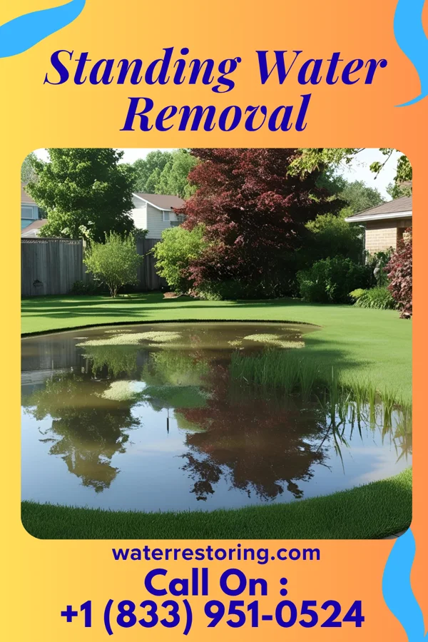 Standing Water Removal in Delavan Lake, WI
